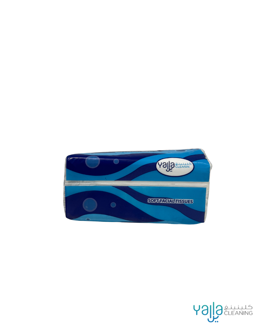 Soft Facial Tissues (pack of 10)